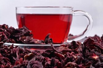 Красный чай в современных трендах здорового образа жизни
